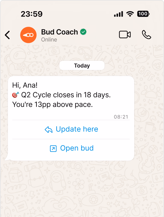 Mockup of WhatsApp showing the Bud Coach conversation.